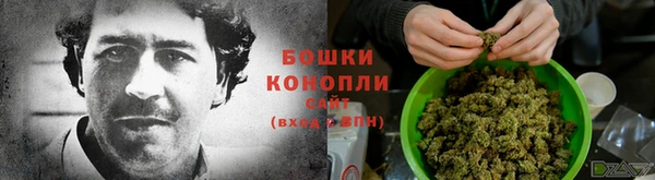 стаф Балахна