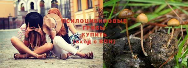стаф Балахна