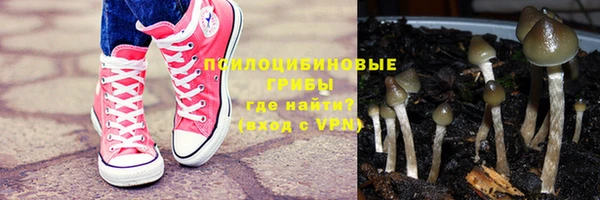 стаф Балахна