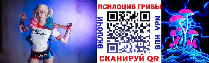 закладки  Советский  Псилоцибиновые грибы Cubensis 